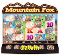 zzwin